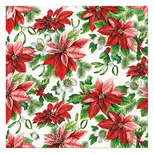 Obrúsky PAW AIRLAID 40x40 cm (12 ks) Glory Poinsettia