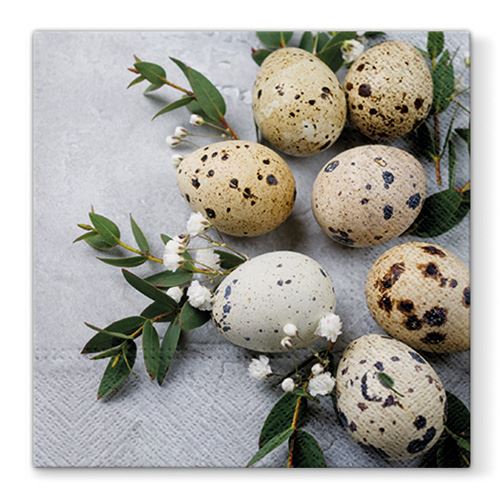 Obrúsky PAW L 33x33cm Natural Eggs