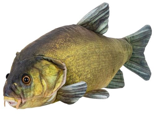 Lin plyšový 50cm 0m+ v sáčku