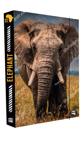 A4 Jumbo Elefánt füzettartó