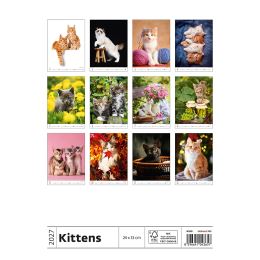 Nástenný kalendár 2027 Kittens/Koťátka/Mačičky (2)