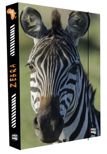 A4 Zebra füzettartó