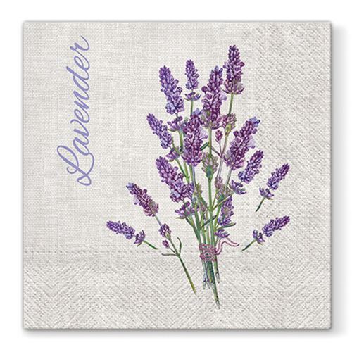 Obrúsky PAW L 33x33cm Lavender for You
