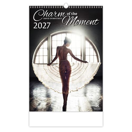 Nástenný kalendár 2027 Charm of the Moment