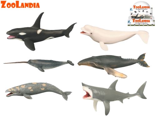 Zoolandia tengeri állatok 18-26 cm 6 fajta zacskóban 12 db DBX-ben