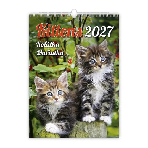 Nástenný kalendár 2027 Kittens/Koťátka/Mačičky