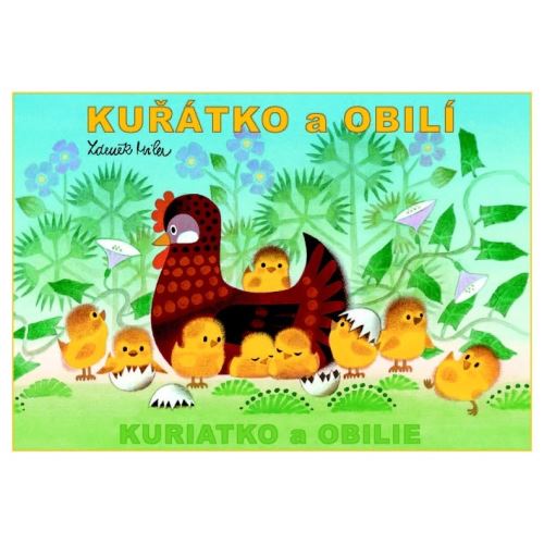 Omaľovanka A5 Akim - Kuriatko a obilie