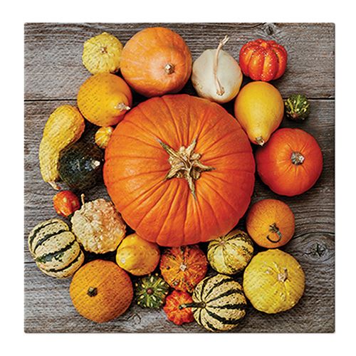 PAW L szalvéta 33x33 cm Pumpkin Composition
