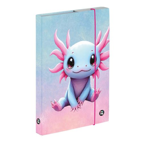 A5 notebook doboz Axolotl